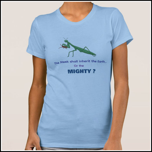 T-Shirt Women's - Meek or Mighty?