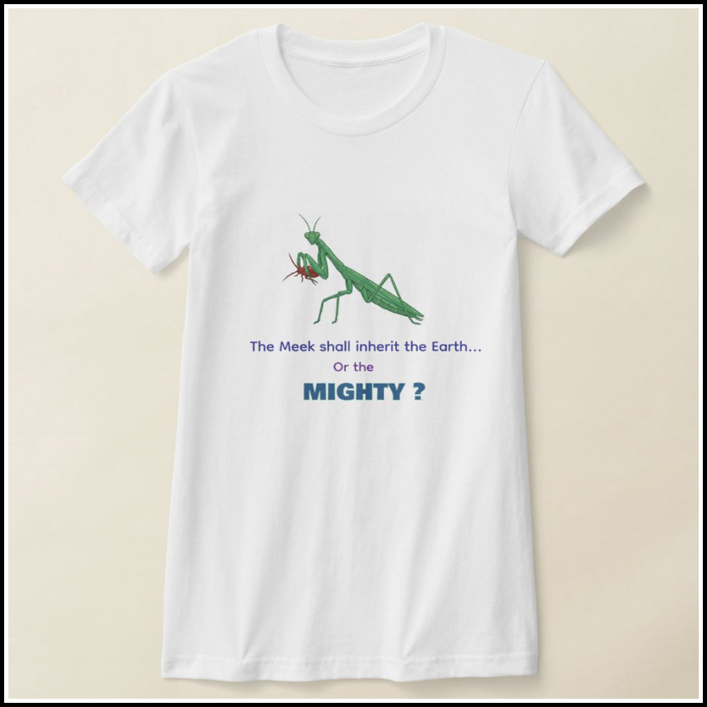 T-Shirt Women's - Meek or Mighty?