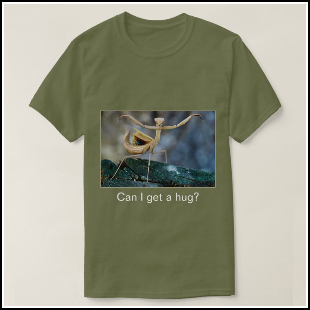 T-Shirt Men's - Can I Get a Hug?