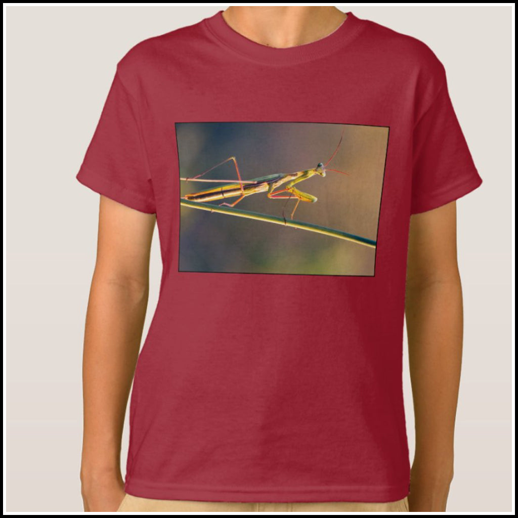 T-Shirt Kids- Forest of Green