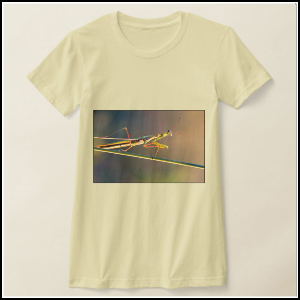 T-Shirt Women's - Brown Microcosm